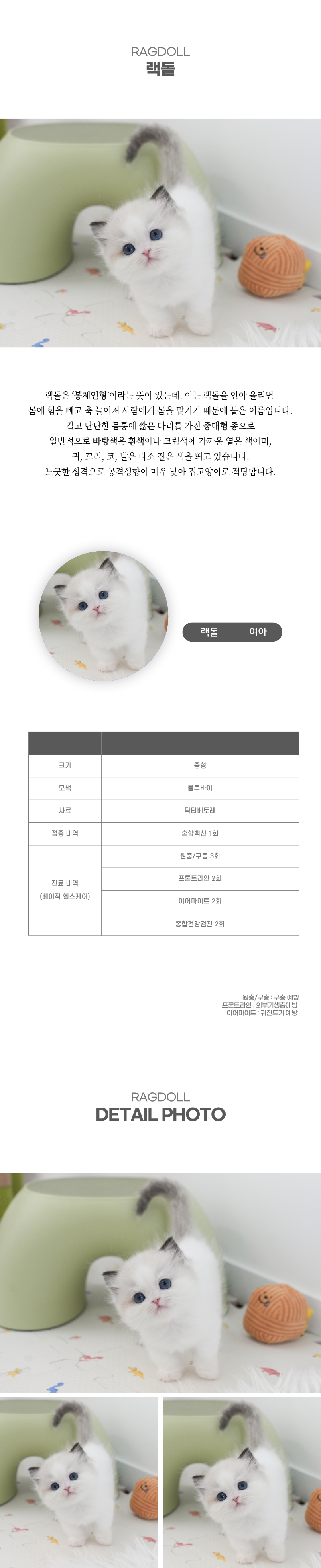랙돌_상세이미지_2